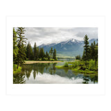 Nature (Print Only) thumbnail
