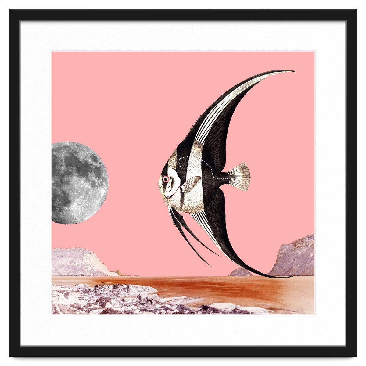 Plenty Of Fish In The Sea Pink