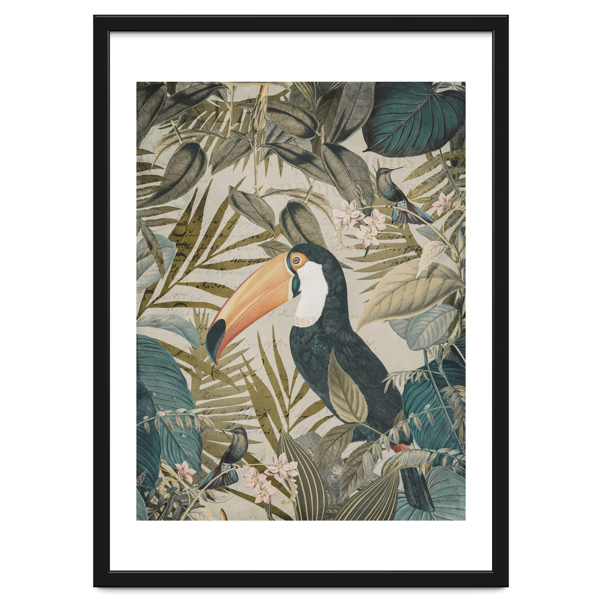 Jungle Toucan