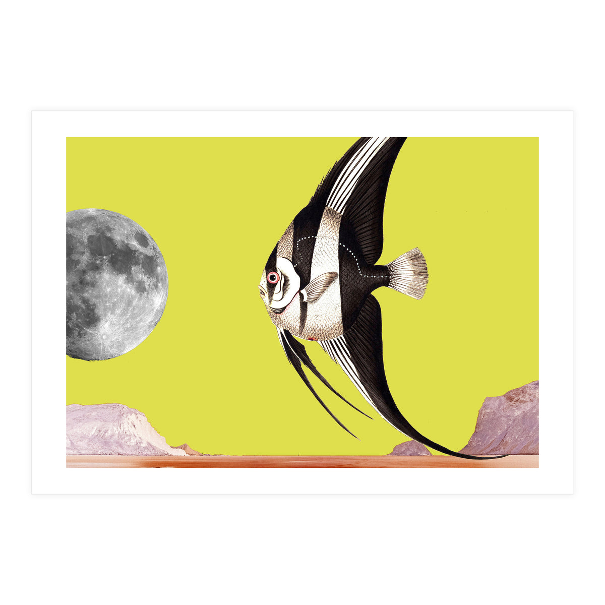 Plenty of fish in the sea yellow (Print Only)