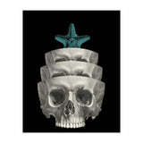 teschio (Print Only) thumbnail