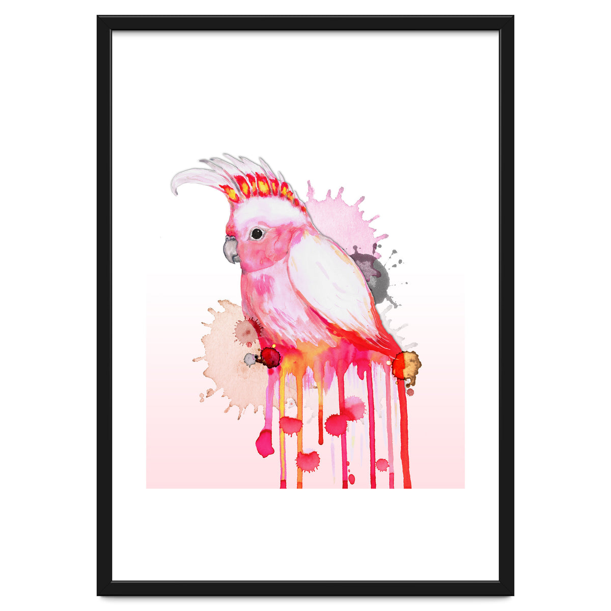 Major Mitchell's cockatoo