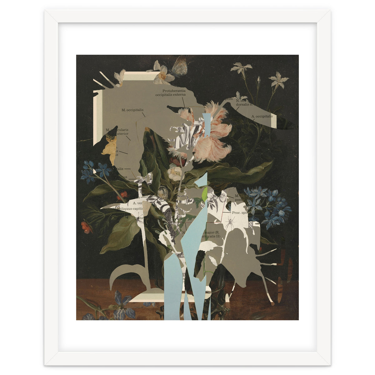 The First Plant · D2