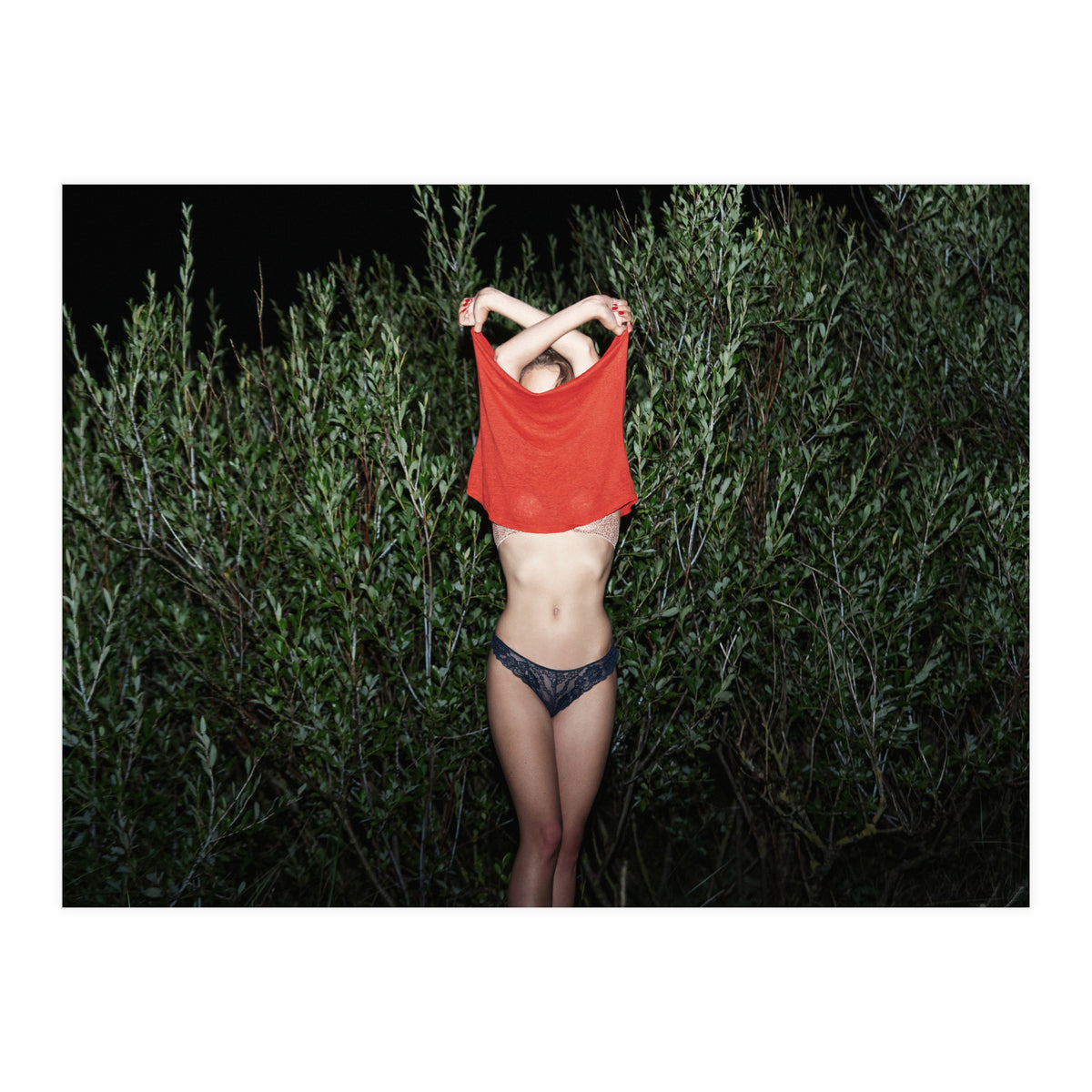 Pomegranate (Print Only)