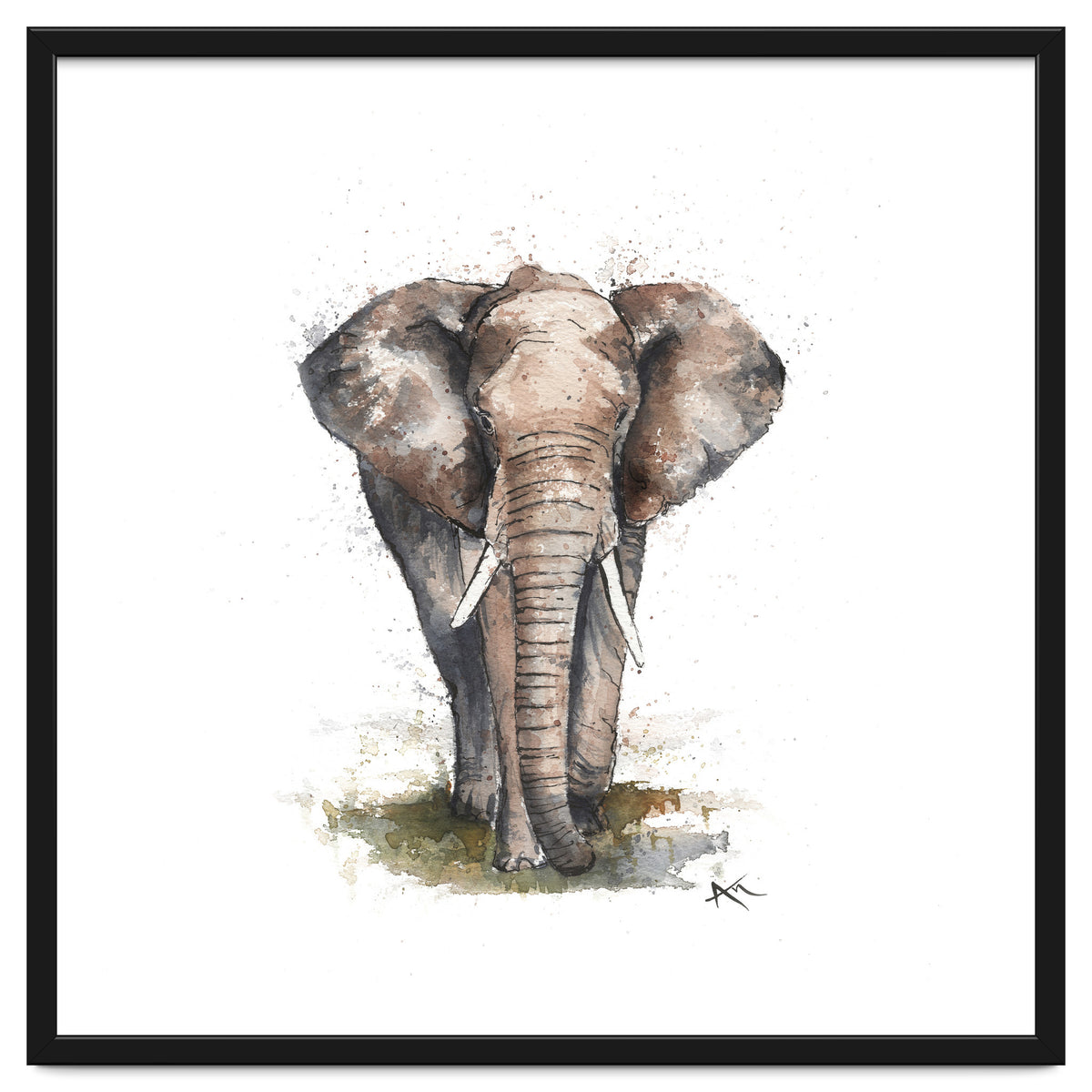 Elephant - Wildlife Collection