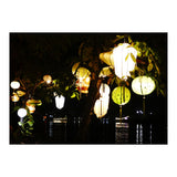 Lanterns (Print Only) thumbnail
