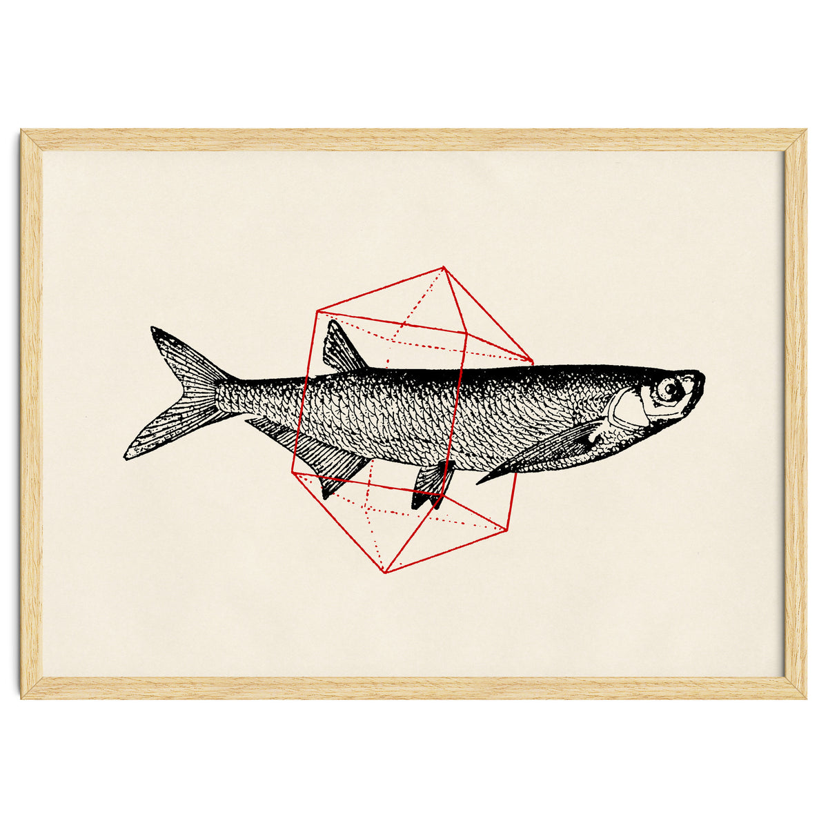 Fish In Geometrics II