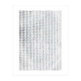 Shadowplay White (Print Only) thumbnail