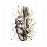 Sloth - Wildlife Collection (Print Only) thumbnail