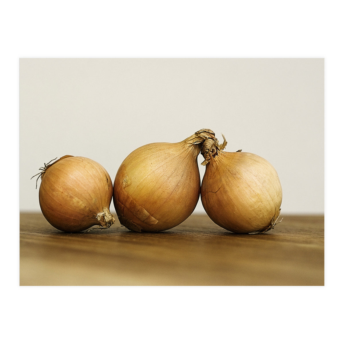 Onions (Print Only)