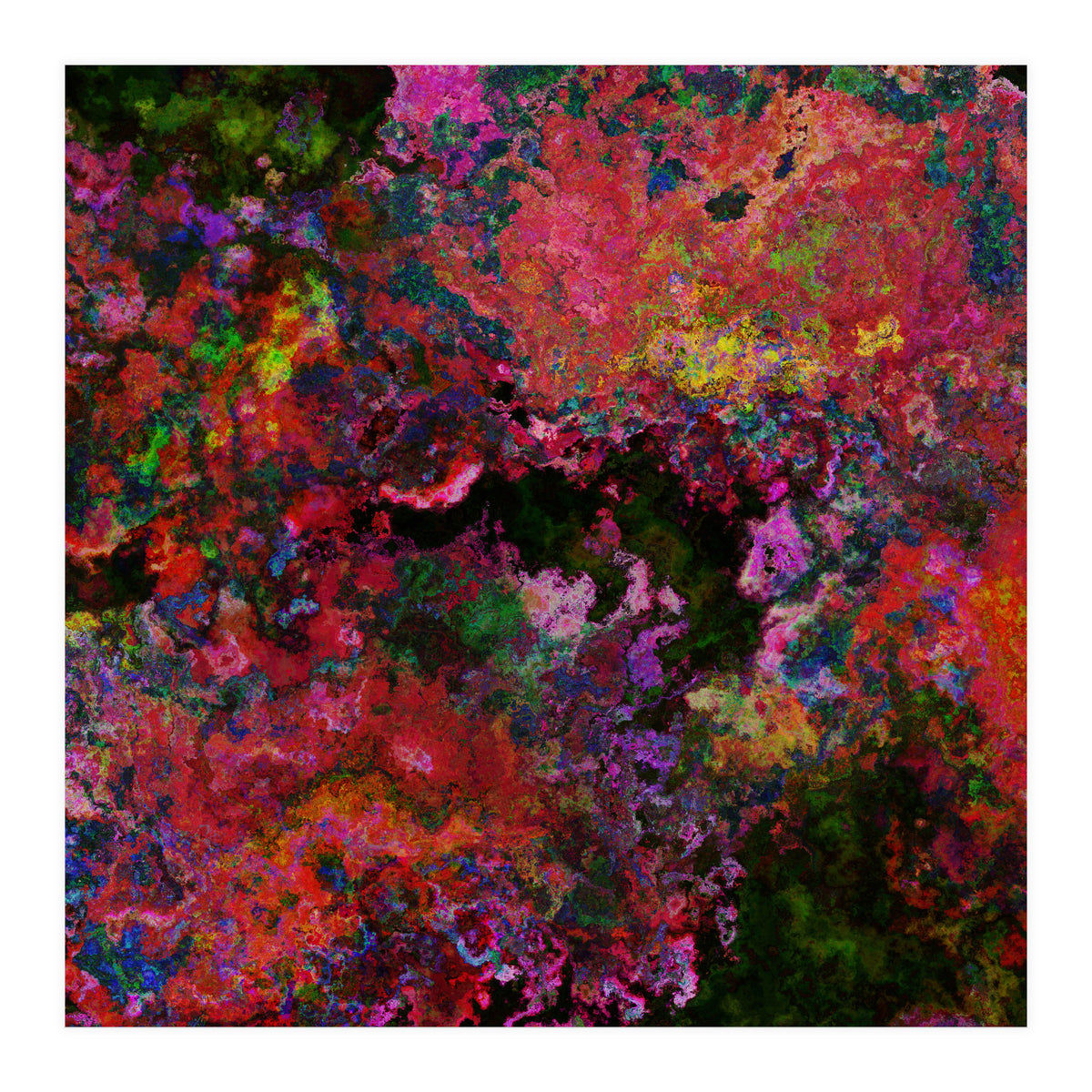 Blooms  (Print Only)