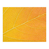 Autumn Leaf (Print Only) thumbnail