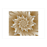 Abstract Digital Floral ART (Print Only) thumbnail