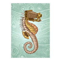 Hippocampus Camerarum (Print Only)