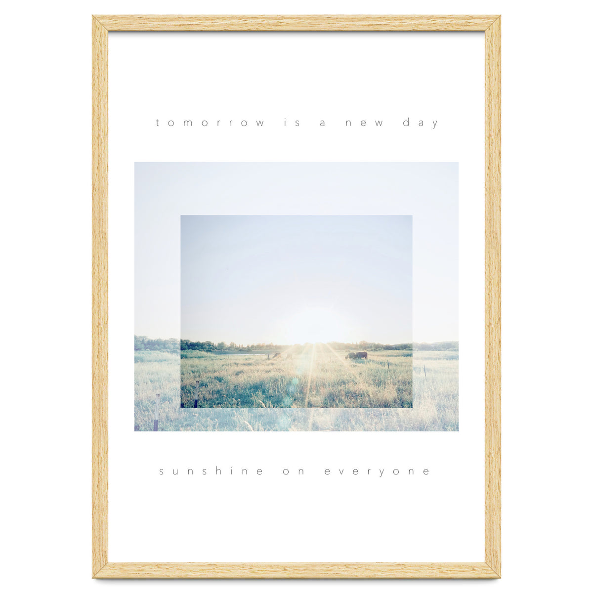 sunshine on everyone