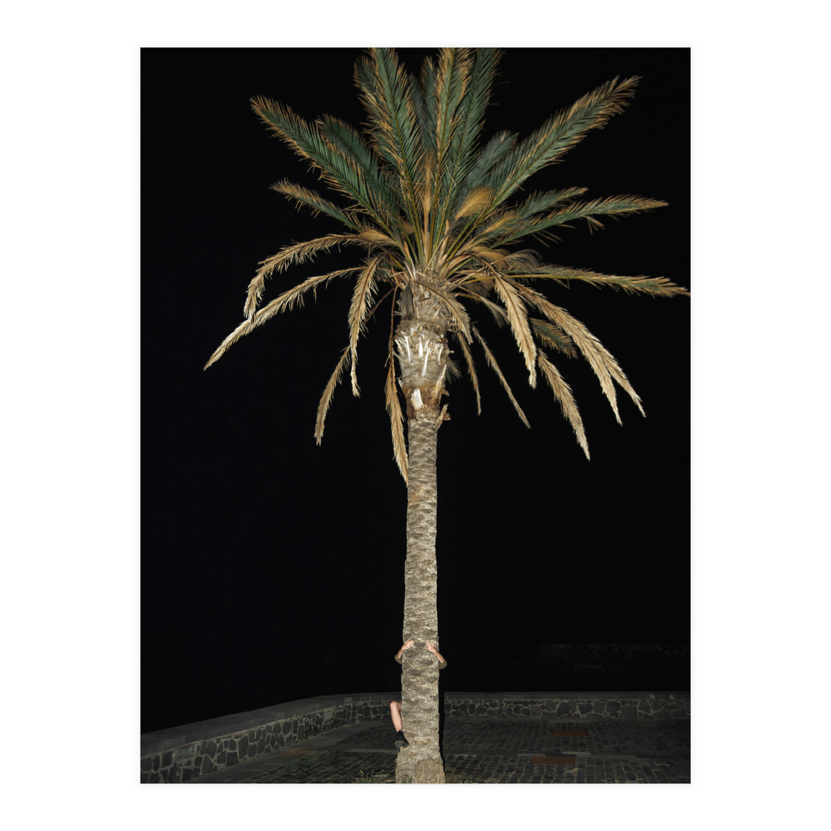 Facepalm (Print Only)