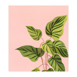 Tropical Rising (Print Only) thumbnail