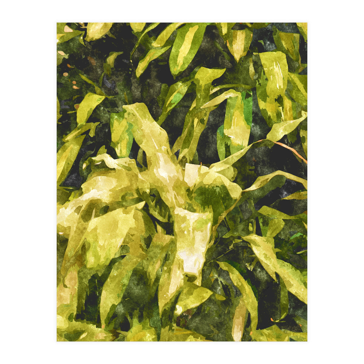 Green Nature (Print Only)