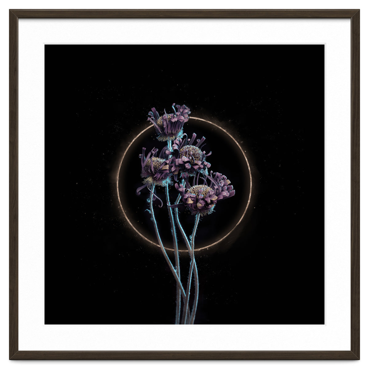 Candy-Coloured Mystery