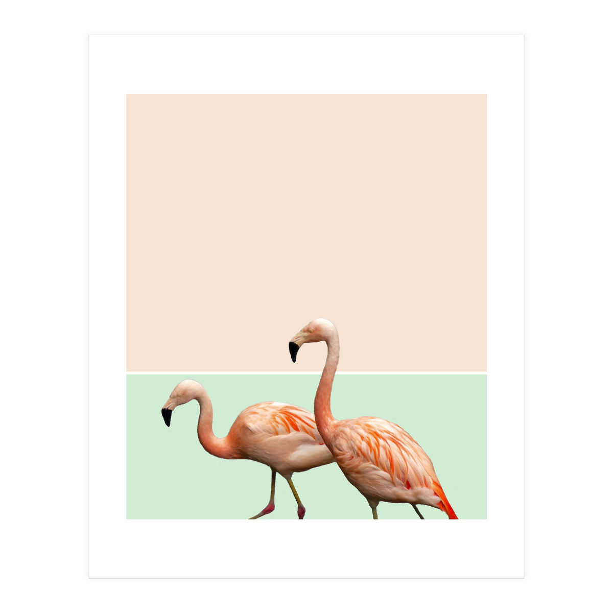 Flamingo Pastel Art (Print Only)