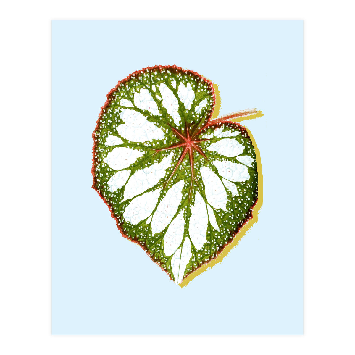 Prodigy (Print Only)