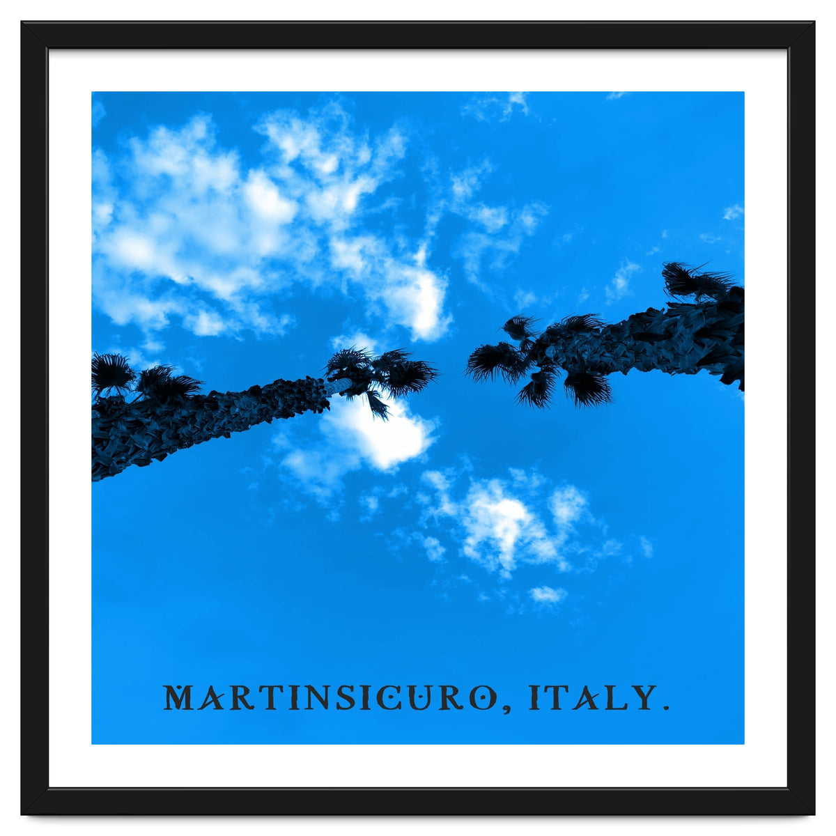 Trees And Sky In MartinSicuro