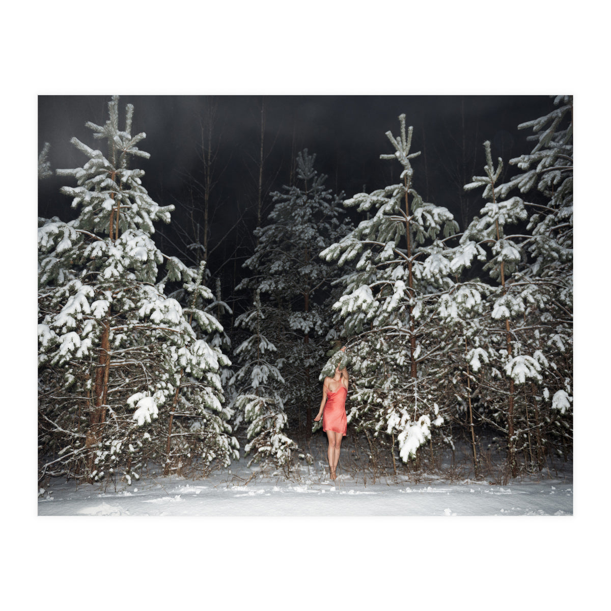 Hiding Game (Print Only)