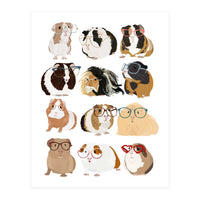 Guinea Pigs in Glasses (Print Only)