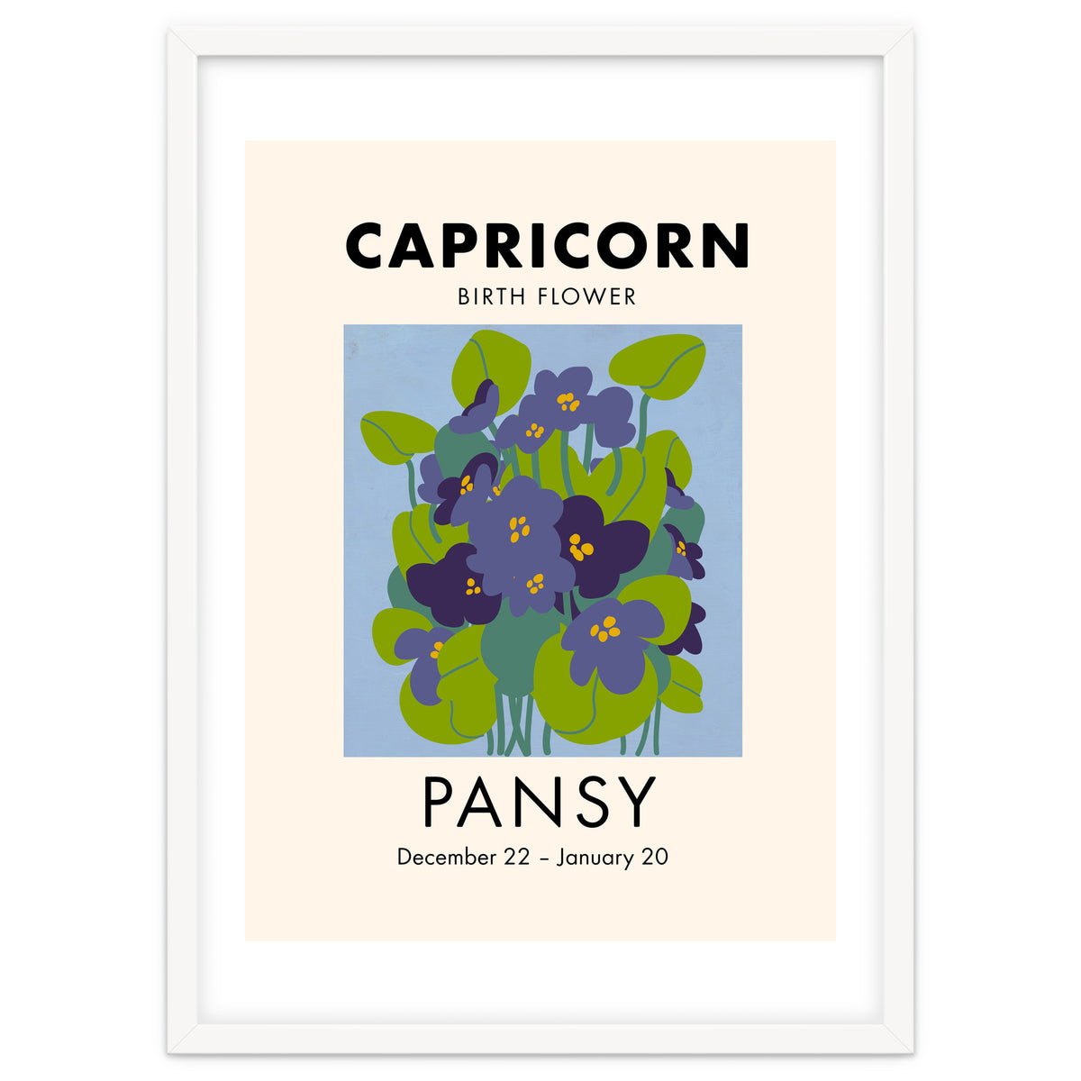 Capricorn Birth Flower Pansy