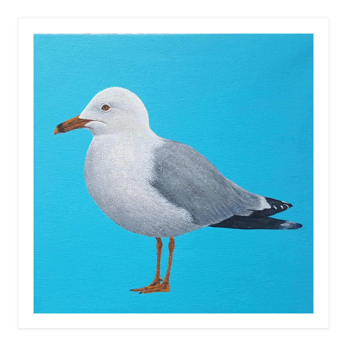 Seagull (Print Only)