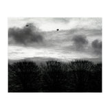 Winter mornig in Paris (Print Only) thumbnail