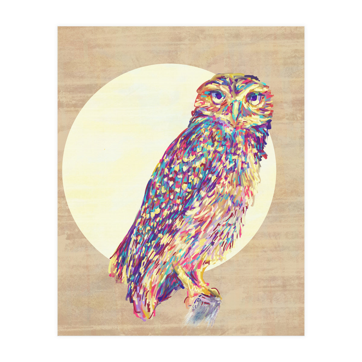 Owl (Print Only)