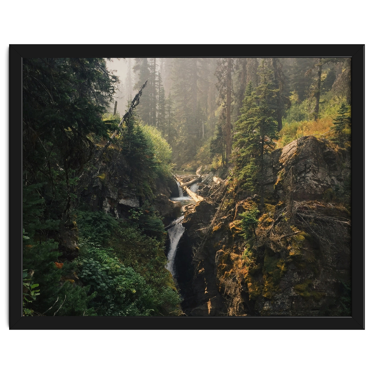 Glacier National Park I