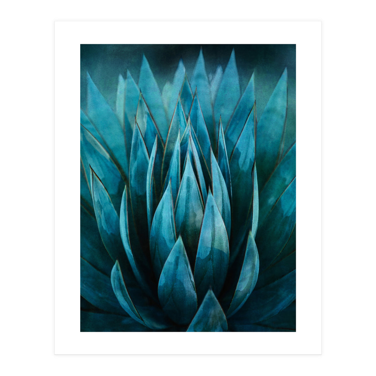 Blue Succulent (Print Only)