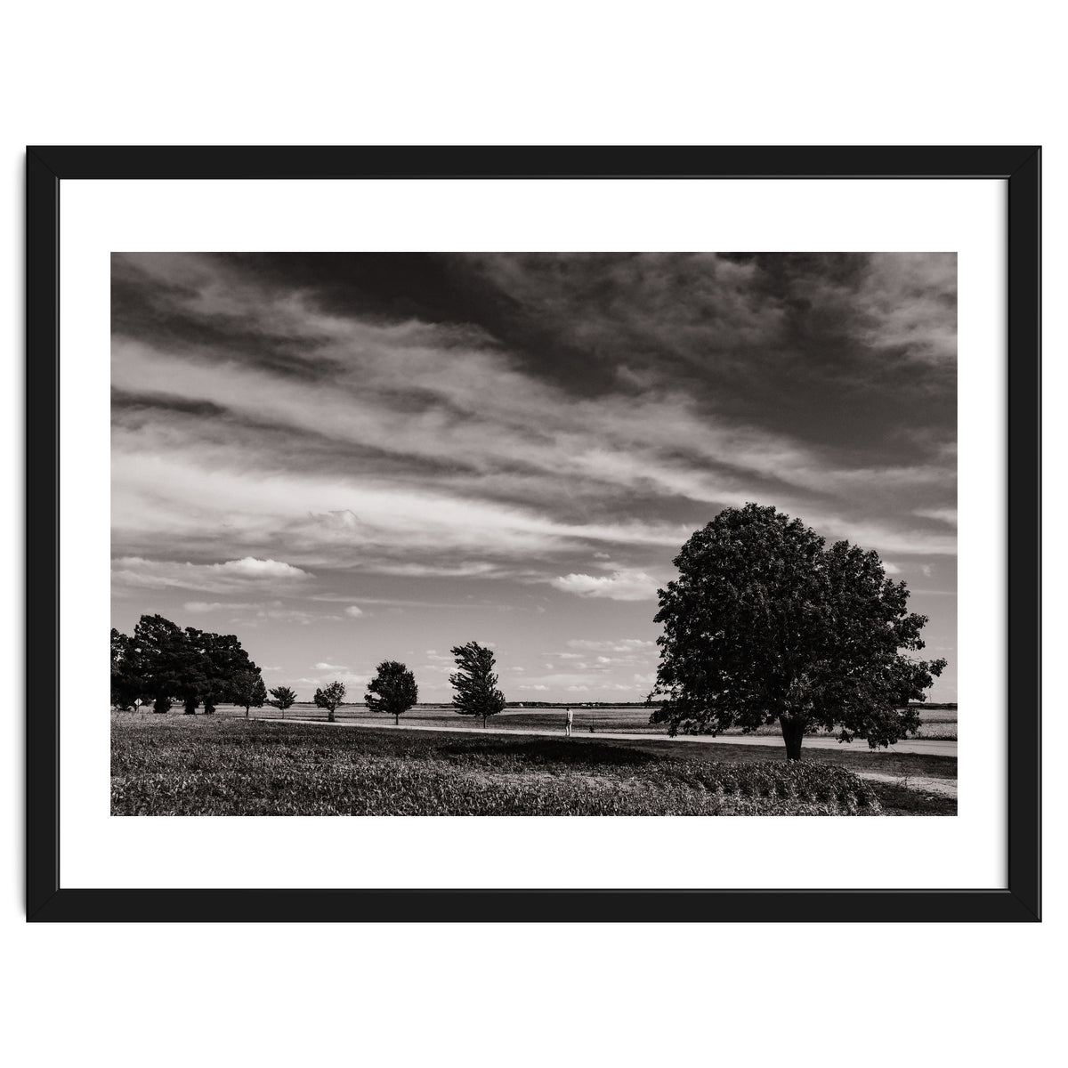 Country Road, Illinois