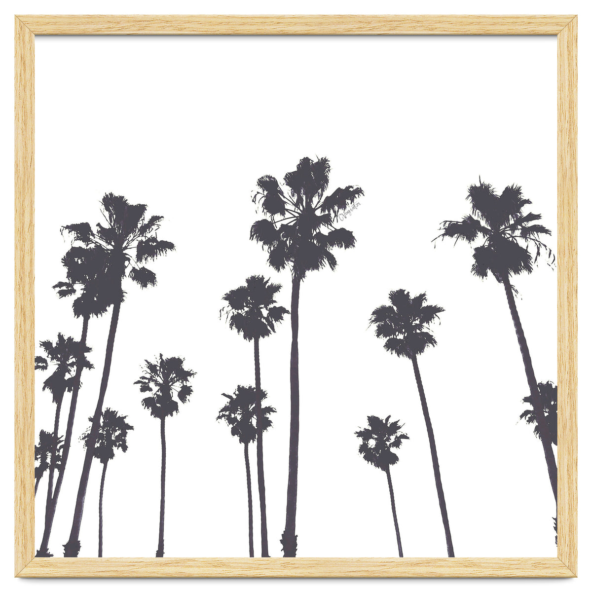 Palms & Sunset-Minimal B&W