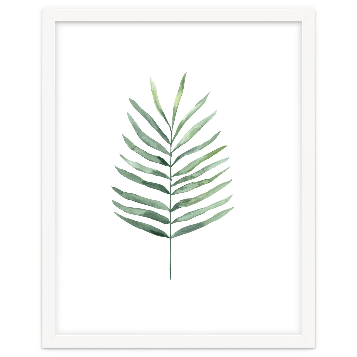 Botanical Illustration Fern