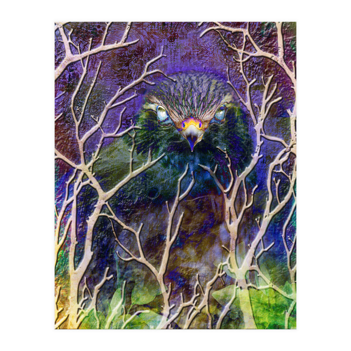 Dead Of Night (Print Only)