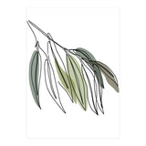 Willow (Print Only) thumbnail