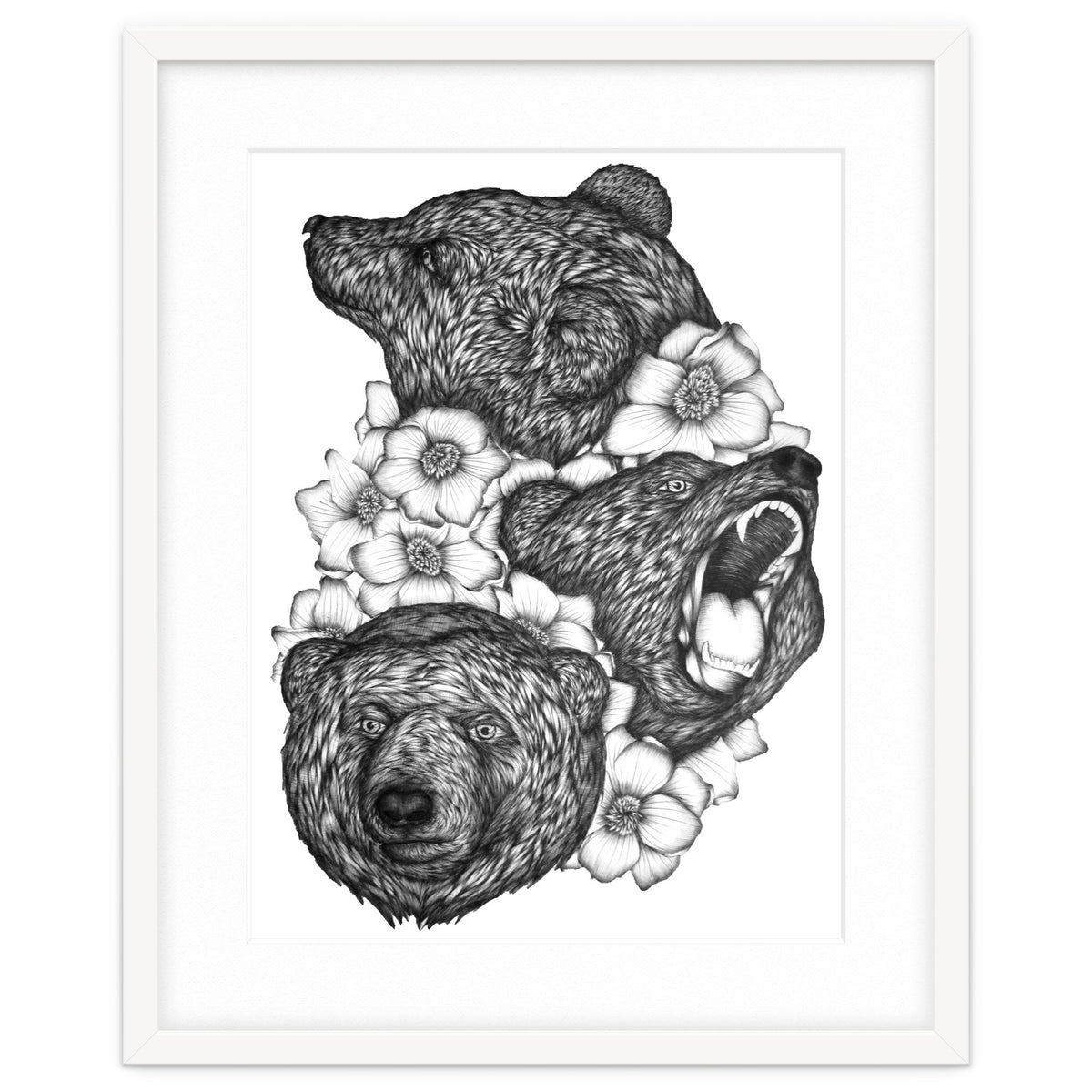 Bears In Bears