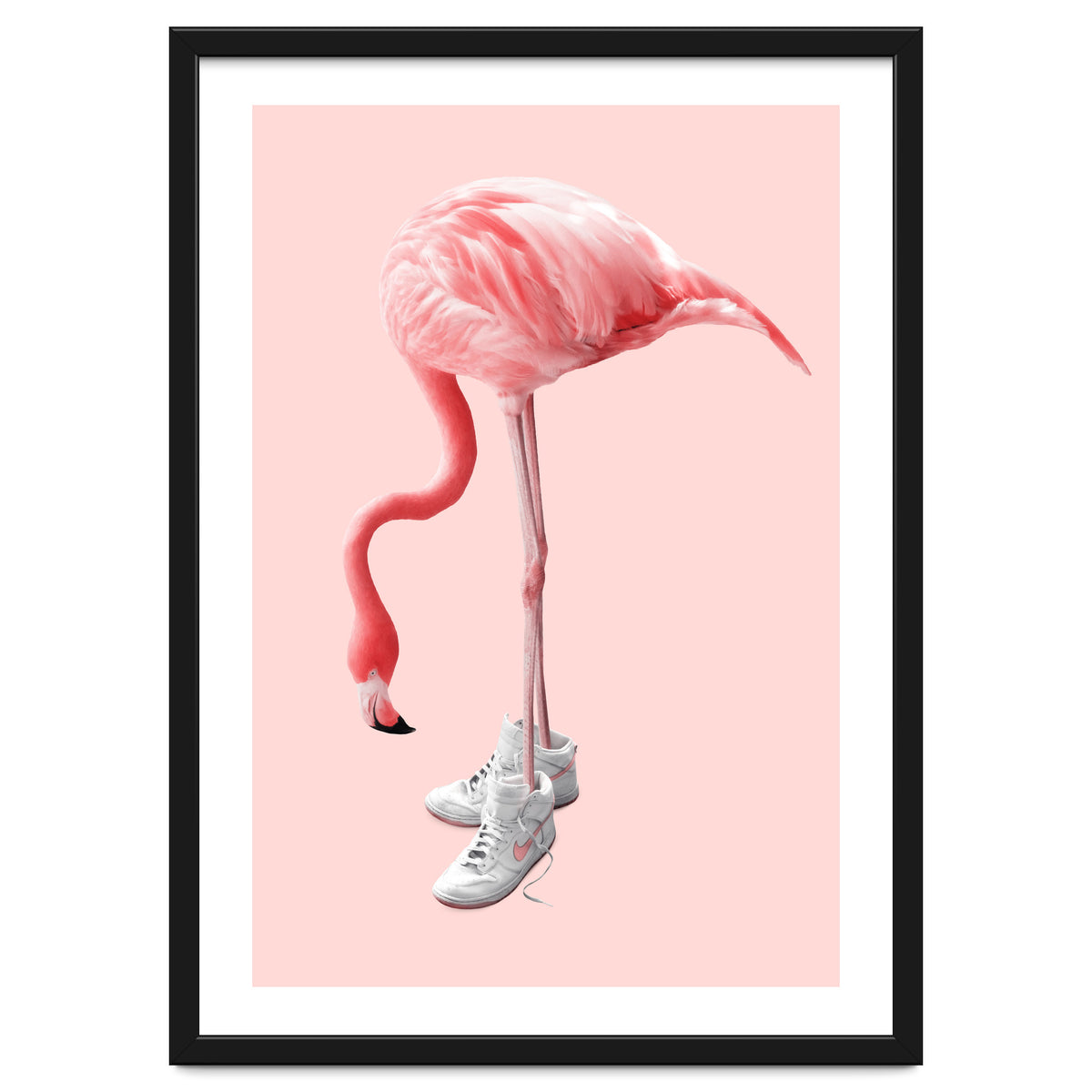 Sneaker Flamingo