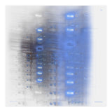 Her trip home. Six (Print Only) thumbnail