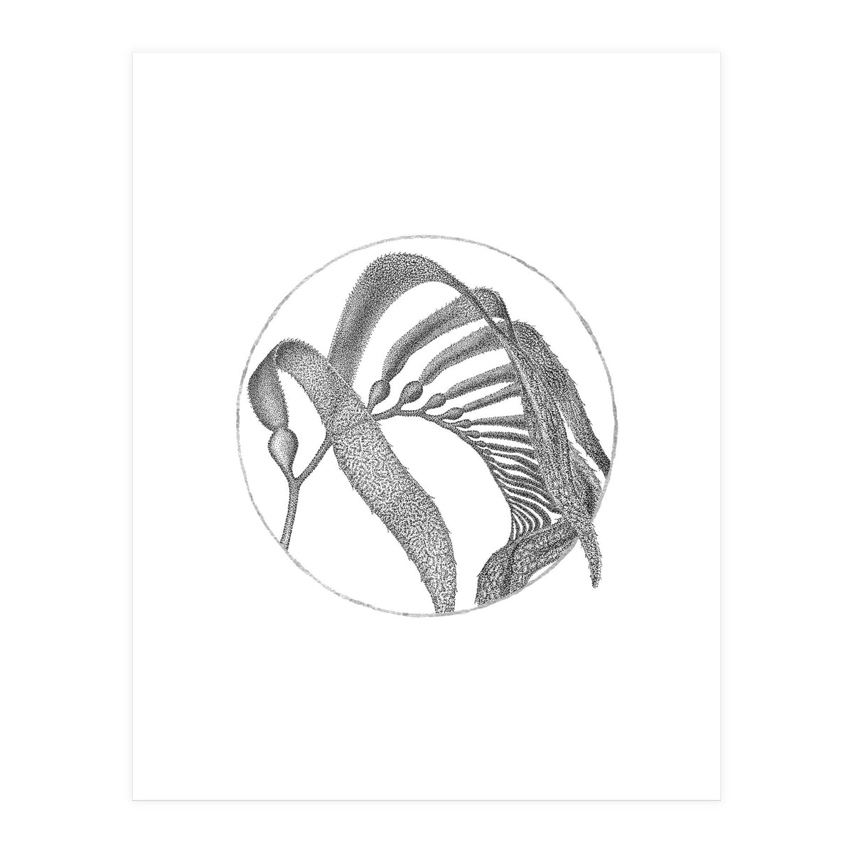 P.O. Blue Carbon (Print Only)