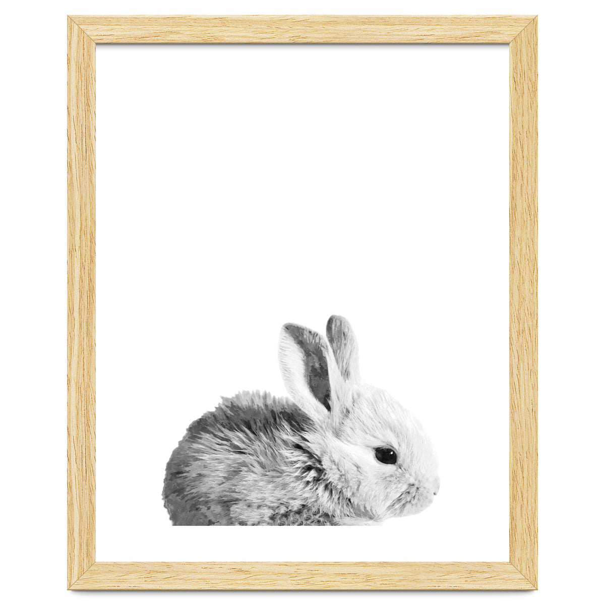 Black and White Bunny Portrait