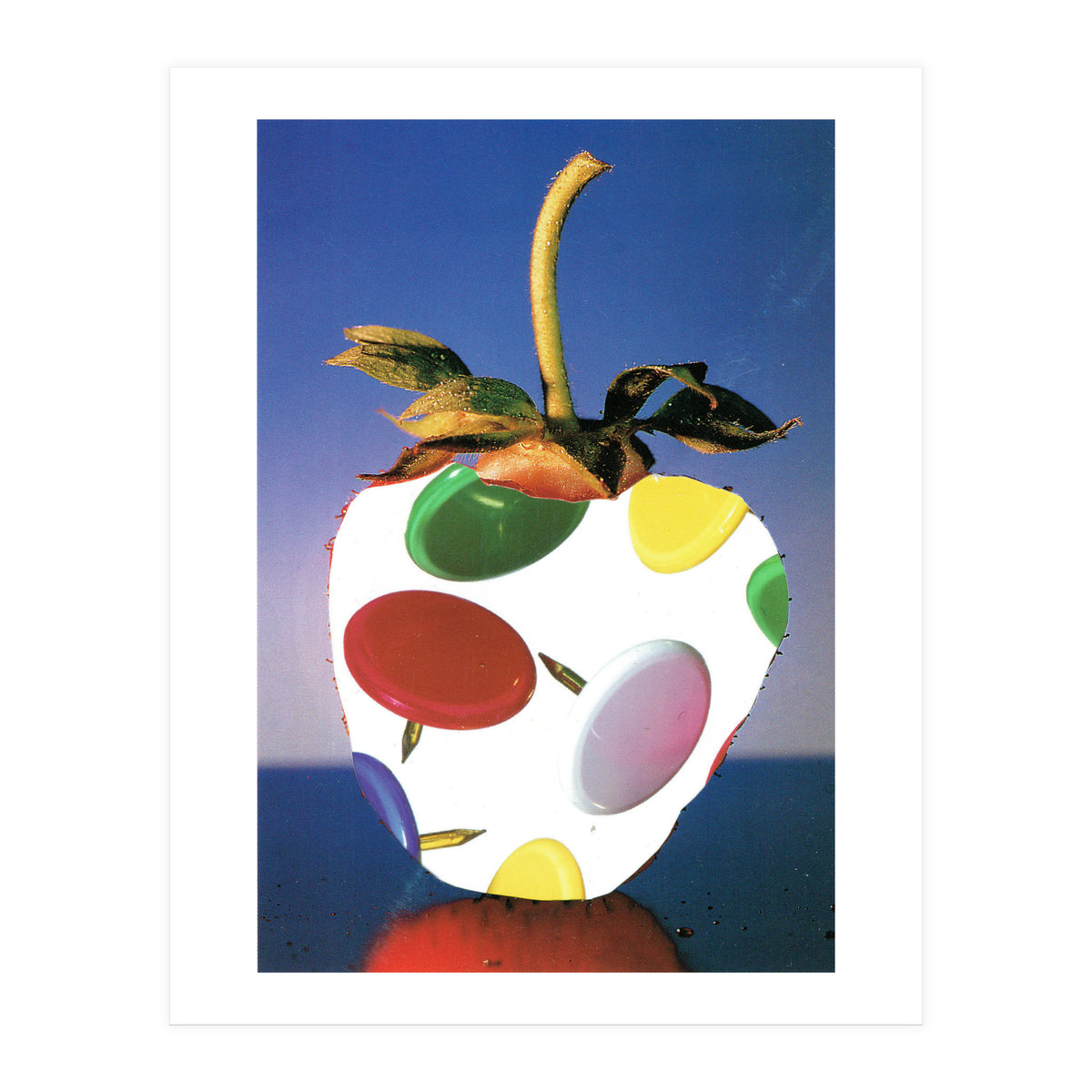 Stachelbeere (Print Only)