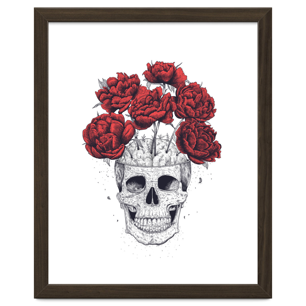 Skull With Peonies