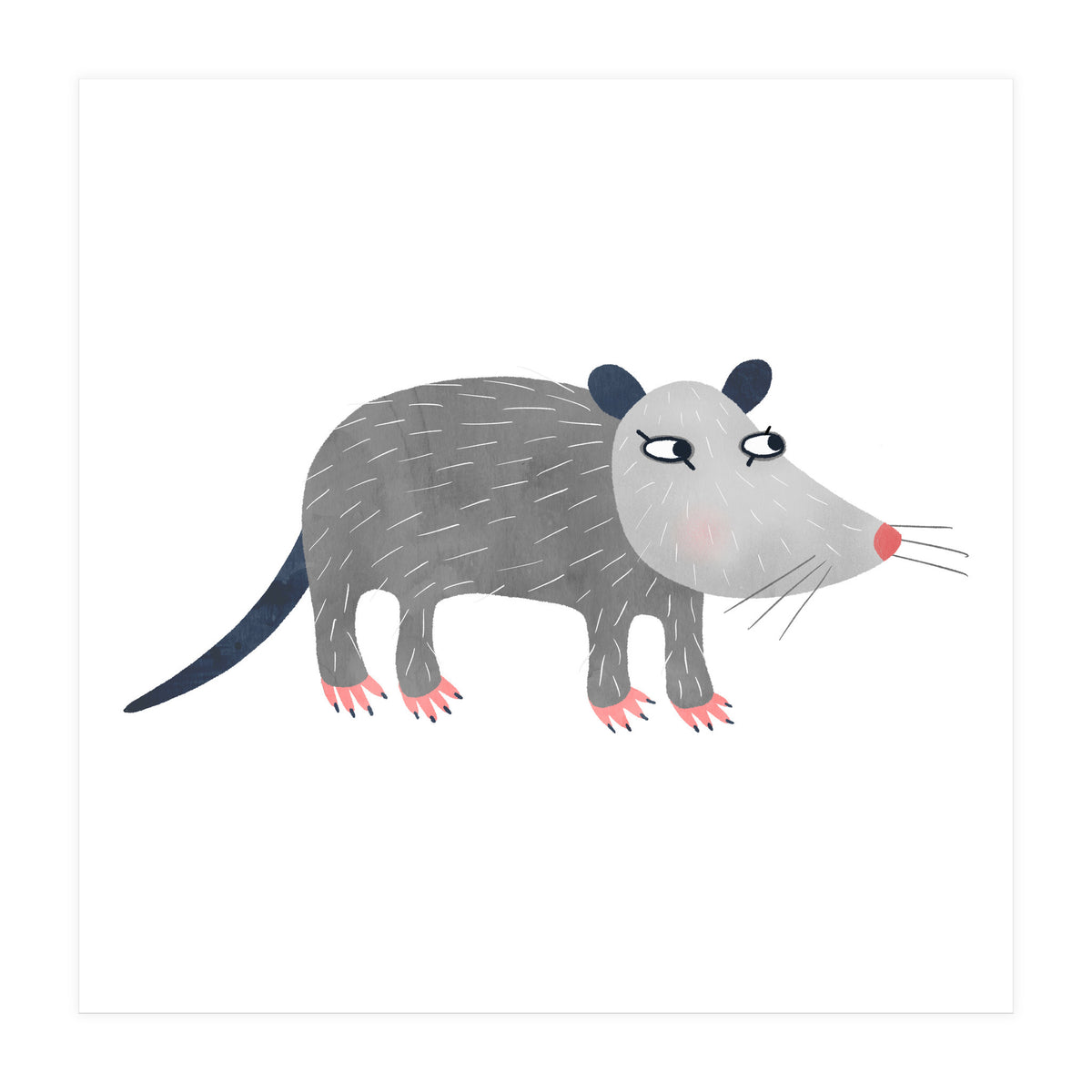 Possum (Print Only)