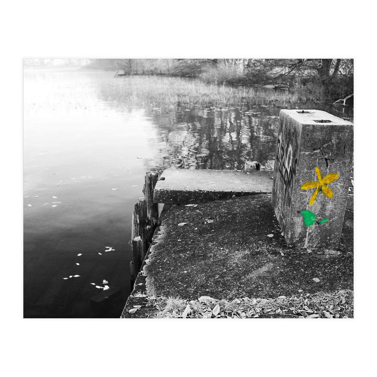 Frozen Ground Yellow Flower Street Art (Print Only)