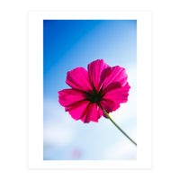 RED FLOWER (Print Only)