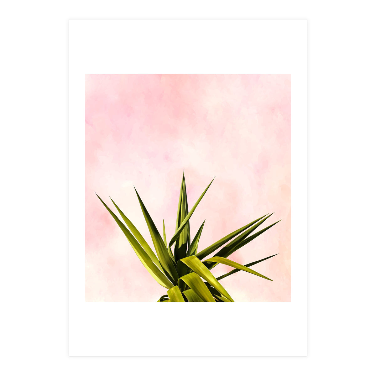 Joy Of Dreams (Print Only)